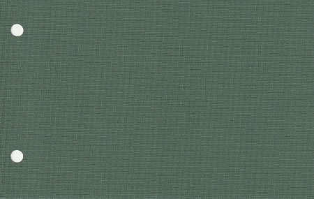Рулонные шторы для проема Карина, темно-зеленый